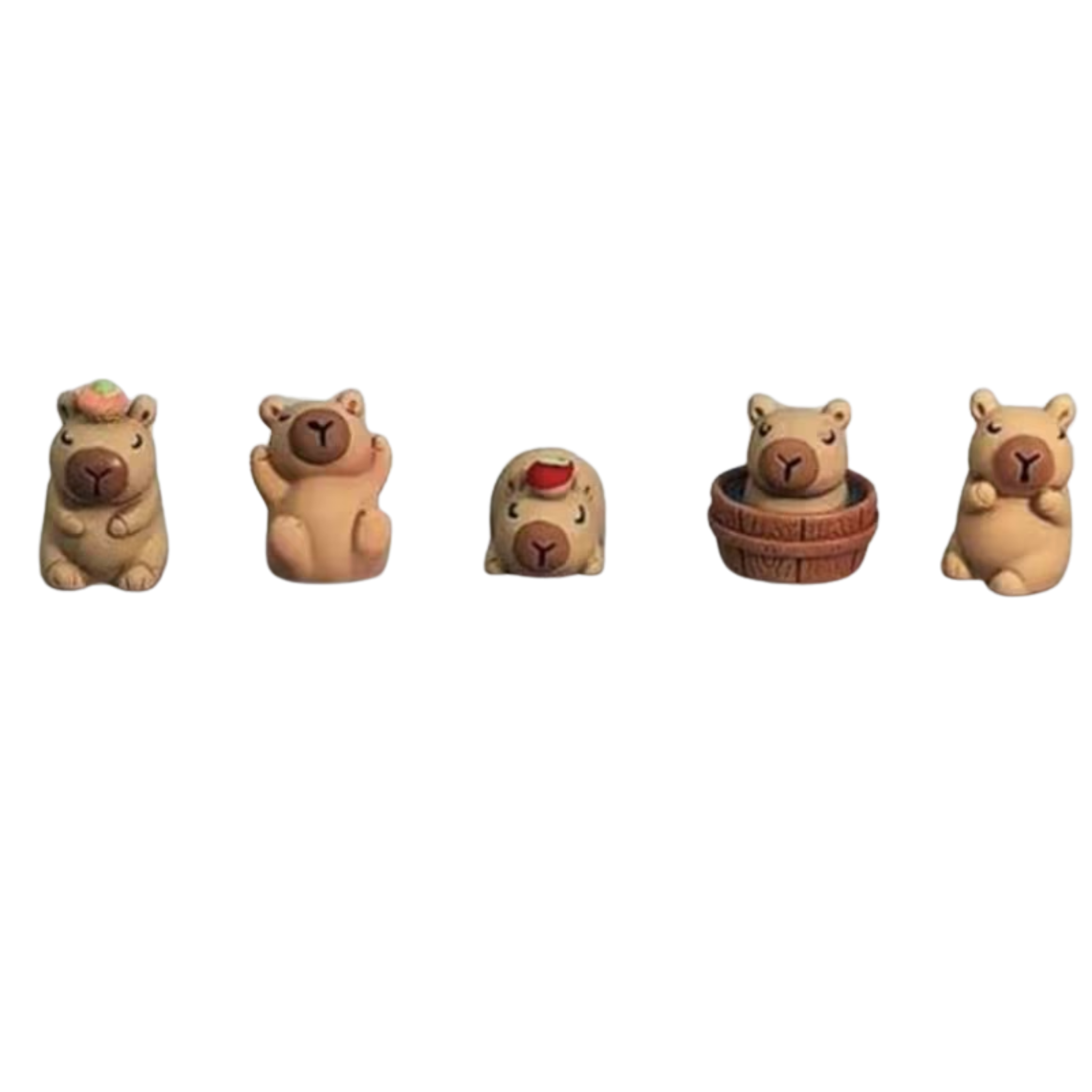 5pcs 3D Capybara Croc Shoe Charms