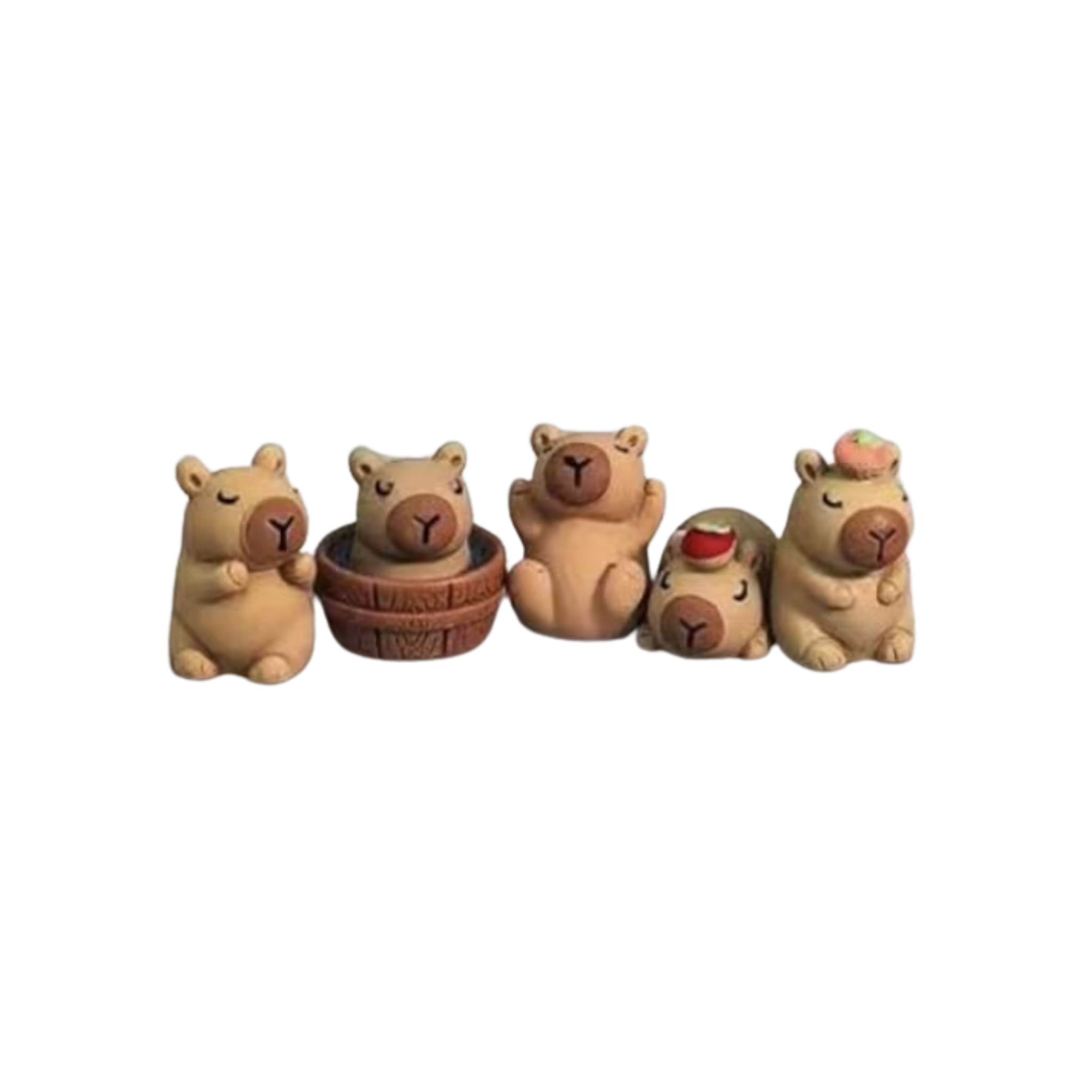 5pcs 3D Capybara Croc Shoe Charms