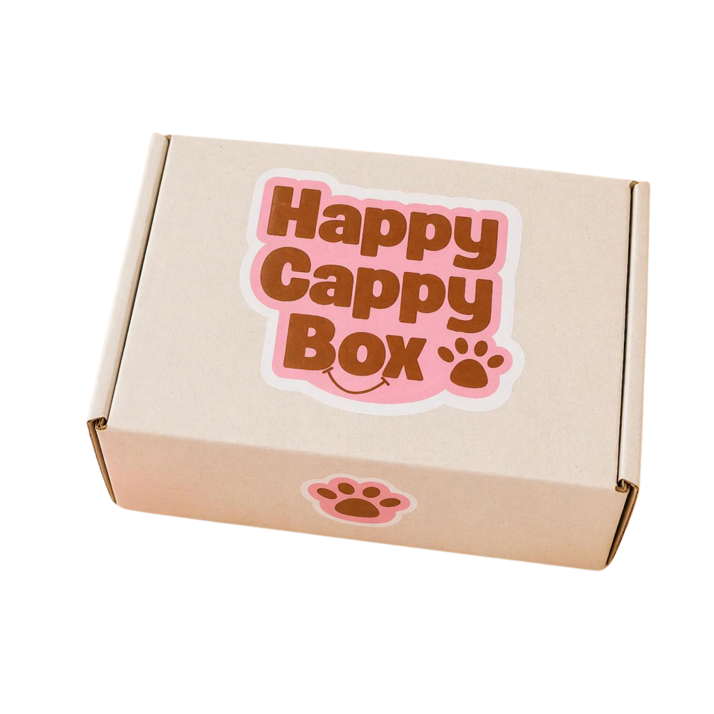 Happy Cappy Capybara Gift Box