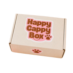 Happy Cappy Capybara Gift Box