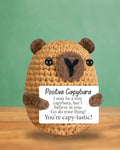 Positive Capybara