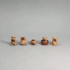 5pcs 3D Capybara Croc Shoe Charms